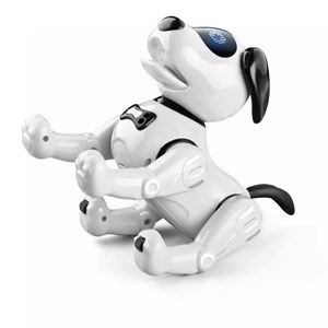 اسباب بازی ربات سگ کنترلی مدل JJRC R19 Remote Control Robot Dog Toy _اسباب بازی ربات